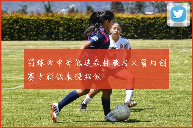 罚球命中率低迷森林狼与火箭均创赛季新低表现相似