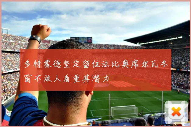 多特蒙德坚定留住法比奥席尔瓦冬窗不放人看重其潜力