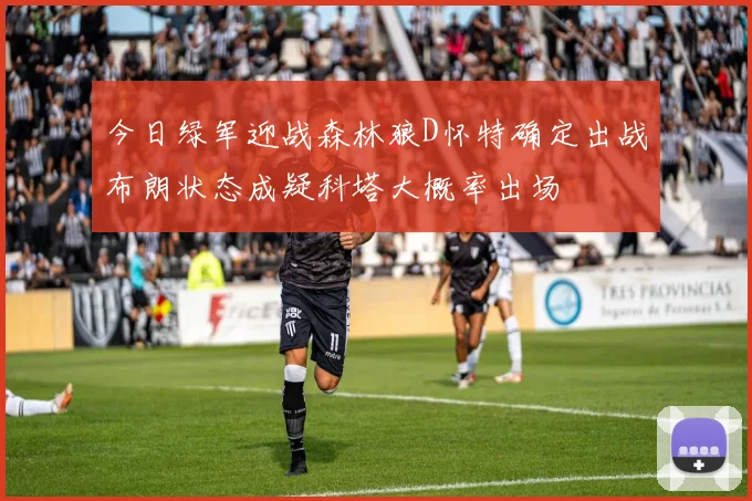 今日绿军迎战森林狼D怀特确定出战布朗状态成疑科塔大概率出场